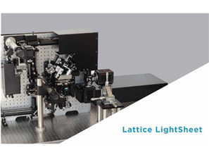 lattice lightsheet